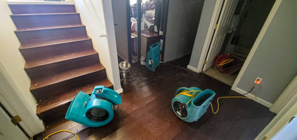 Best Water damage contractors near me  in Shiremanstown, PA