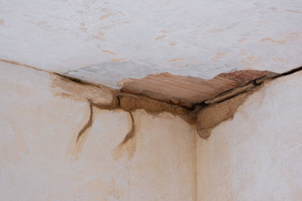 Best Sewage cleanup and water damage restoration  in Shiremanstown, PA