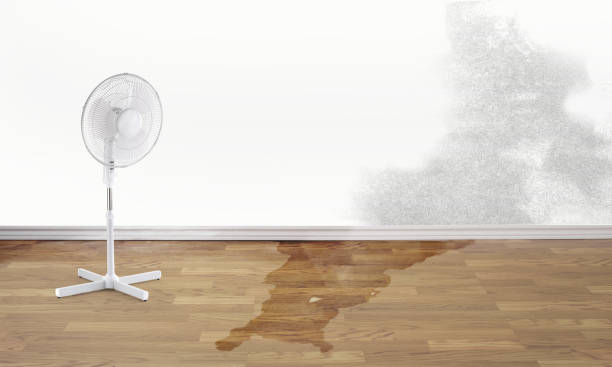 Water damage restoration mold remediation in Shiremanstown, PA