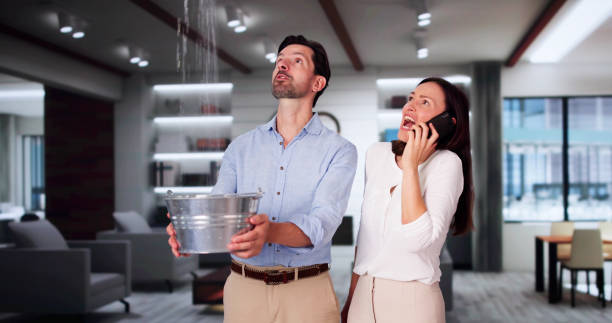 Best Flooded house restoration  in Shiremanstown, PA