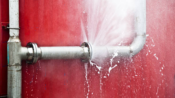 Best Flooded house restoration  in Shiremanstown, PA
