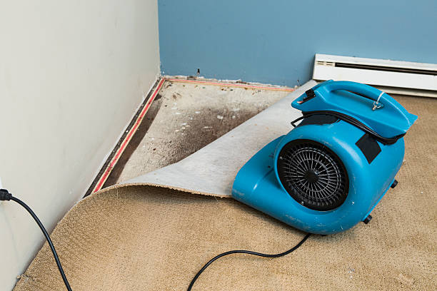 Best Water damage restoration company  in Shiremanstown, PA